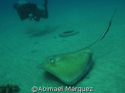 My first dived of 2008, Crash Boat, Aguadilla, Puerto Rico by Abimael Márquez 